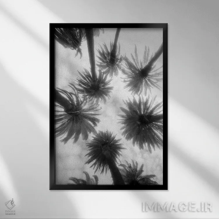 تابلو دکوراتیو در میان درختان نخل اثر جیم دراتفیلد - نمای قابدار مشکی