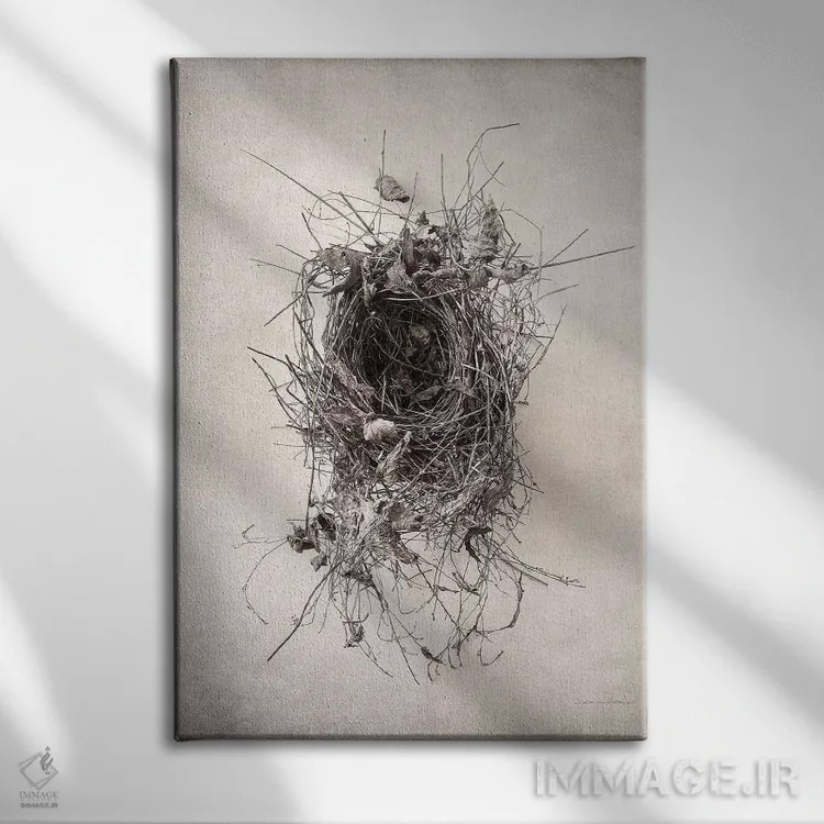 تابلو مدرن آشیانه II اثر دبرا ون سوارینجن - نمای روبهرو روی دیوار