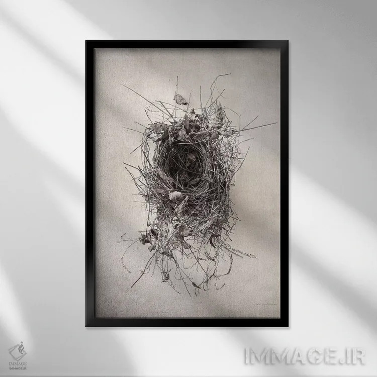تابلو مدرن آشیانه II اثر دبرا ون سوارینجن - نمای قابدار مشکی