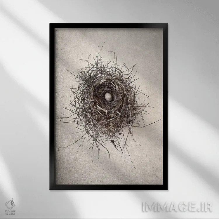 تابلو مدرن آشیانه I اثر دبرا ون سوارینجن - نمای قابدار مشکی