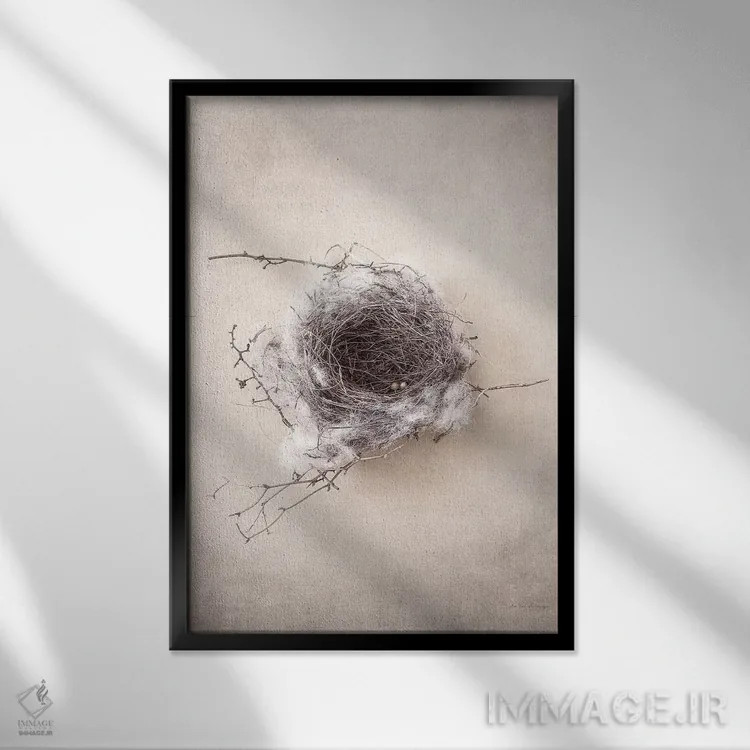 تابلو مدرن آشیانه III اثر دبرا ون سوارینجن - نمای قابدار مشکی