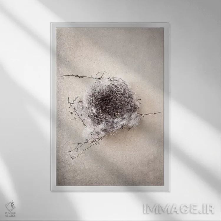 تابلو مدرن آشیانه III اثر دبرا ون سوارینجن - نمای قابدار سفید