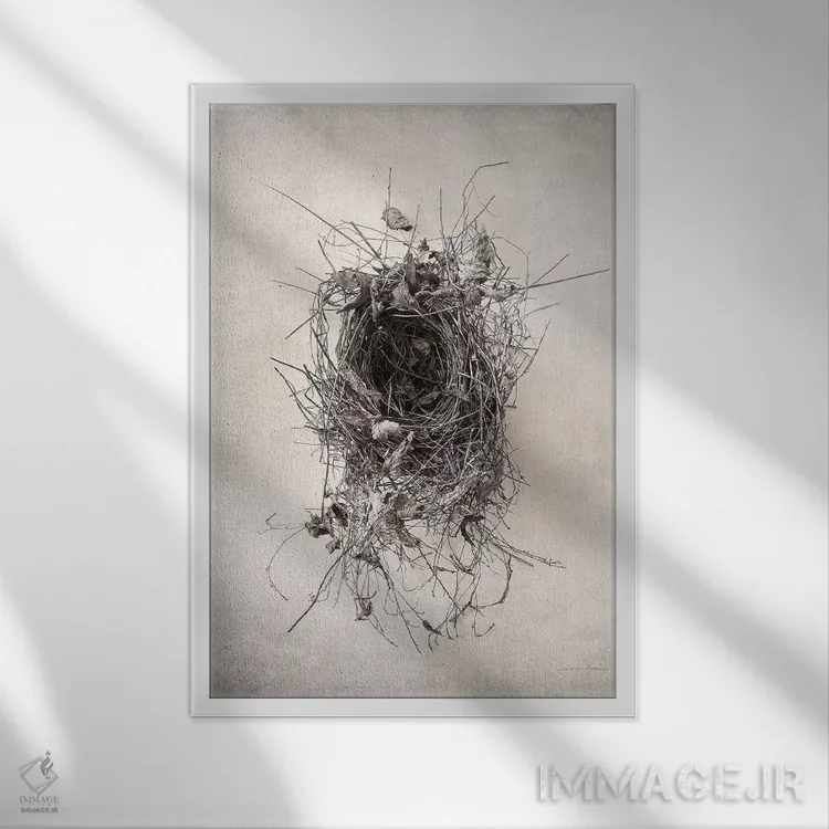 تابلو مدرن آشیانه II اثر دبرا ون سوارینجن - نمای قابدار سفید