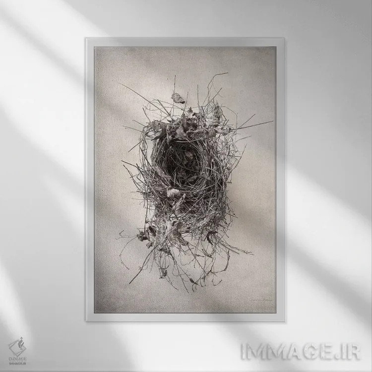 تابلو مدرن آشیانه II اثر دبرا ون سوارینجن - نمای قابدار سفید