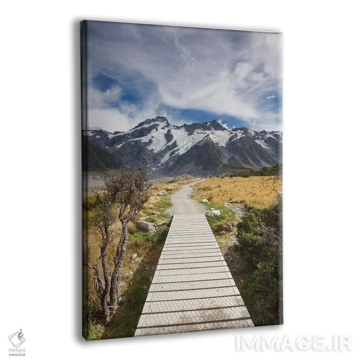 تابلو دکوراتیو South Island, Canterbury, Trail through Aoraki-Mt. Cook N… اثر والتر بیبیکوف - نمای پرسپکتیو محصول