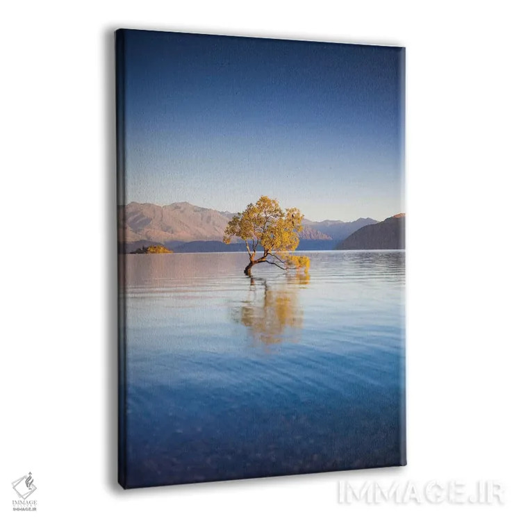 تابلو دکوراتیو South Island, Otago, Wanaka, Lake Wanaka, solitary tree… اثر والتر بیبیکوف - نمای پرسپکتیو محصول