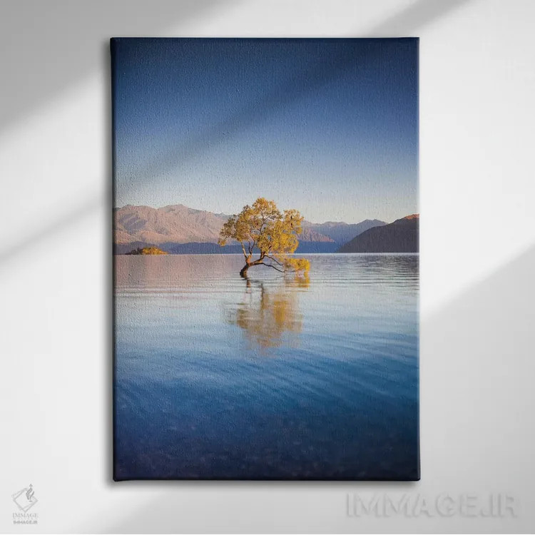 تابلو دکوراتیو South Island, Otago, Wanaka, Lake Wanaka, solitary tree… اثر والتر بیبیکوف - نمای روبهرو روی دیوار