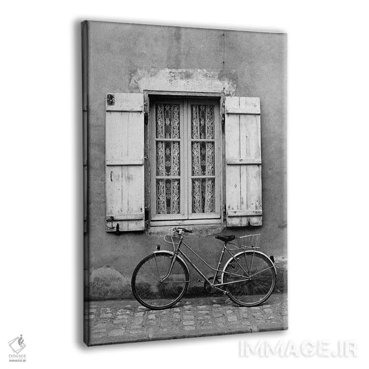تابلو دکوراتیو Marans, Poitou-Charentes, Nouvelle-Aquitaine, France,دوچر… اثر والتر بیبیکوف - نمای پرسپکتیو محصول