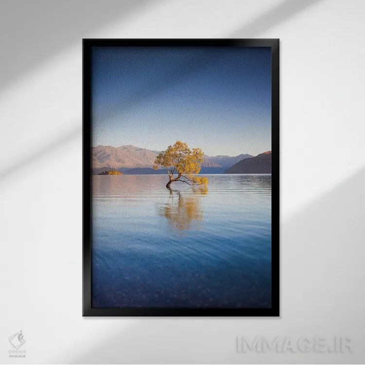 تابلو دکوراتیو South Island, Otago, Wanaka, Lake Wanaka, solitary tree… اثر والتر بیبیکوف - نمای قابدار مشکی