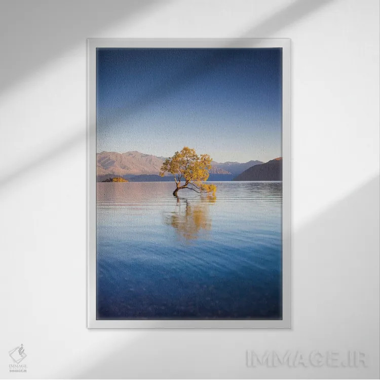 تابلو دکوراتیو South Island, Otago, Wanaka, Lake Wanaka, solitary tree… اثر والتر بیبیکوف - نمای قابدار سفید