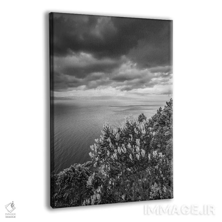 تابلو دکوراتیو Azores, Pico Island, Terra Alta. Miradouro da Terra Alta… اثر والتر بیبیکوف - نمای پرسپکتیو محصول