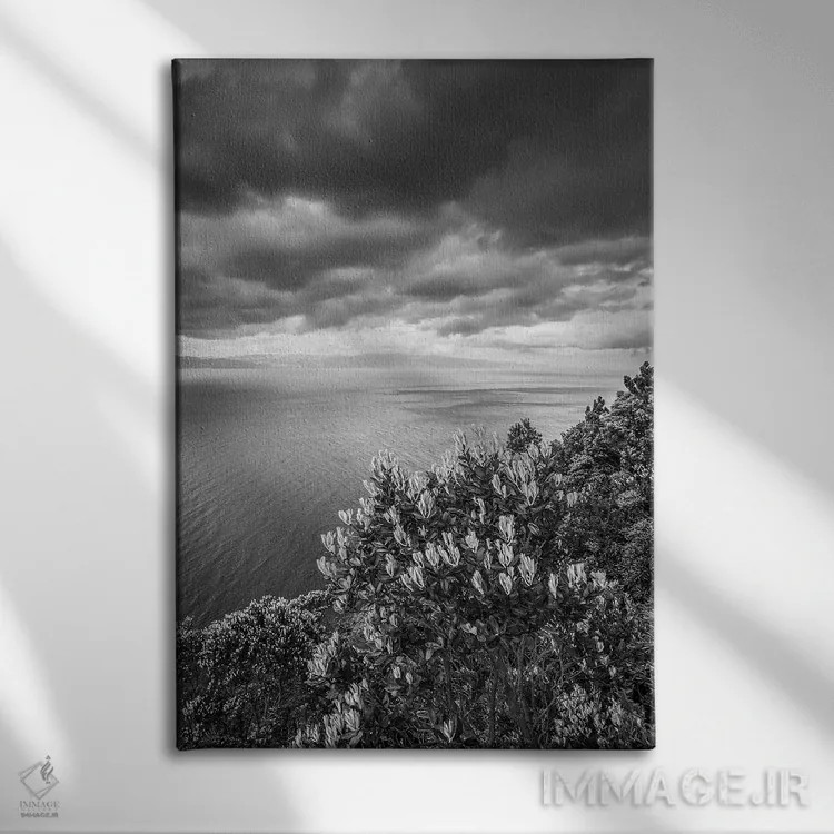 تابلو دکوراتیو Azores, Pico Island, Terra Alta. Miradouro da Terra Alta… اثر والتر بیبیکوف - نمای روبهرو روی دیوار