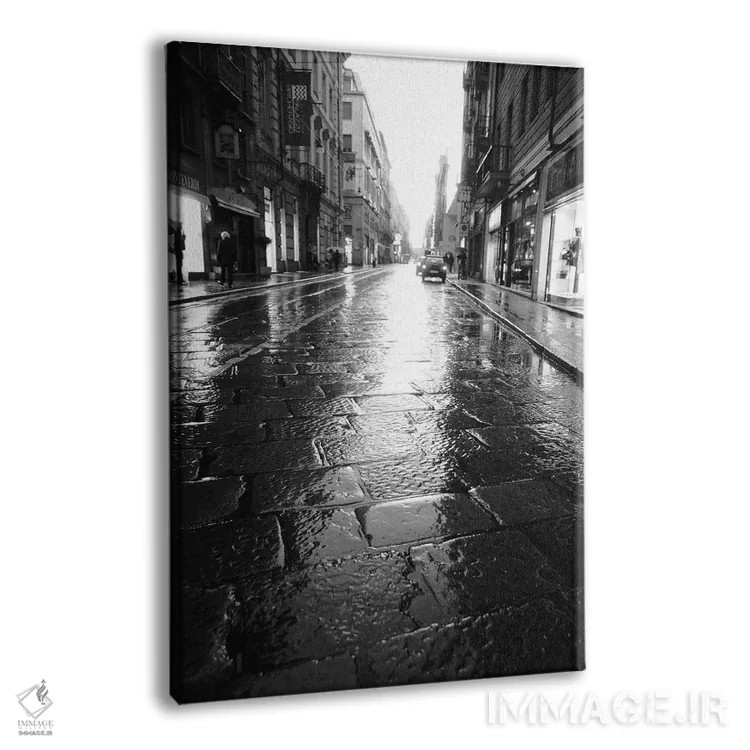 تابلو دکوراتیو Turin, Piedmont Region, Italy,خیابان خیـس در شب، تورین، م… اثر والتر بیبیکوف - نمای پرسپکتیو محصول