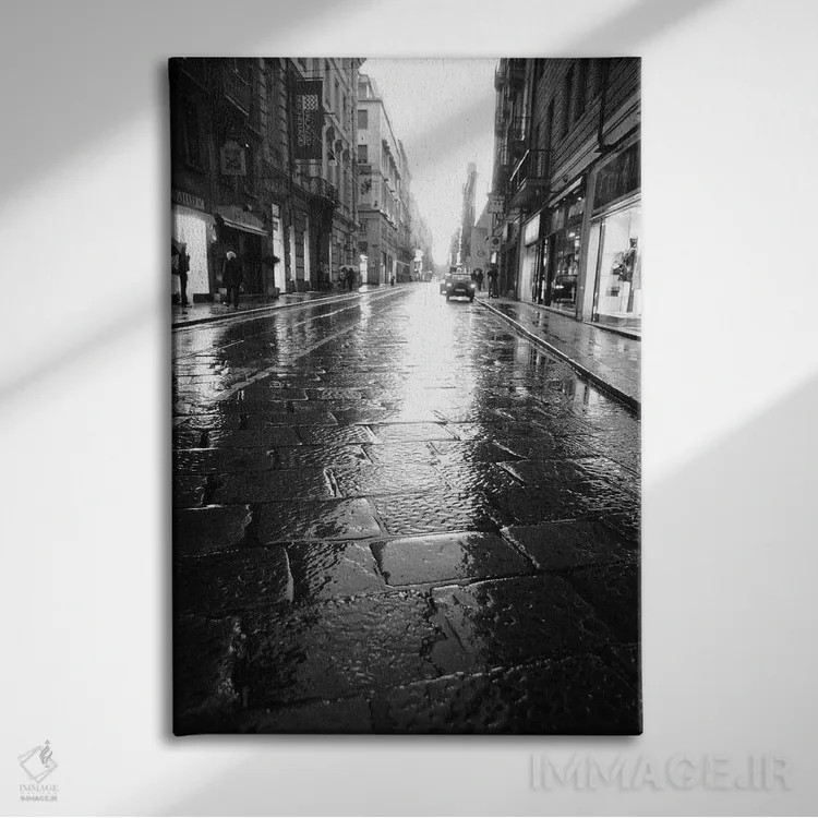 تابلو دکوراتیو Turin, Piedmont Region, Italy,خیابان خیـس در شب، تورین، م… اثر والتر بیبیکوف - نمای روبهرو روی دیوار