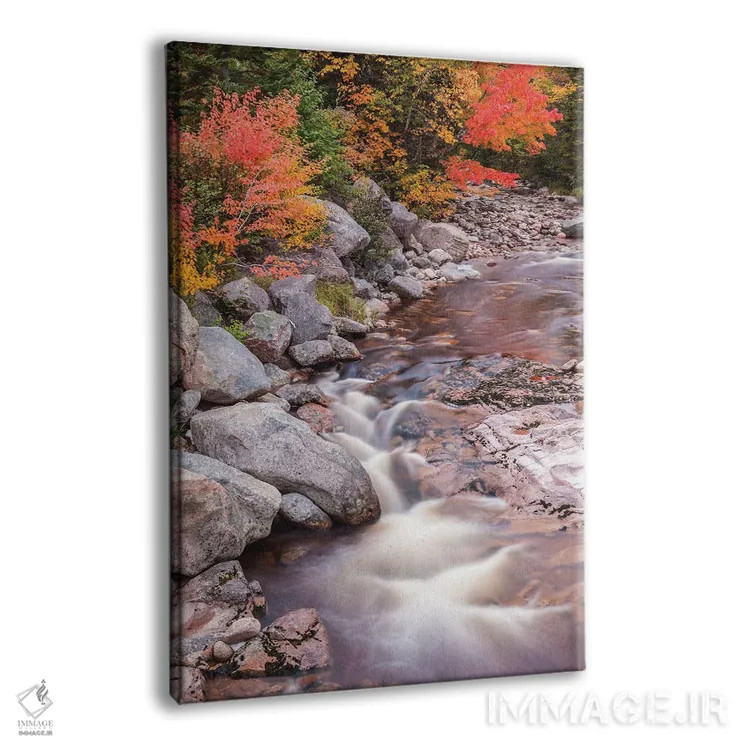 تابلو دکوراتیو Nova Scotia, Cabot Trail. Neils Harbour, Cape Breton High… اثر والتر بیبیکوف - نمای پرسپکتیو محصول