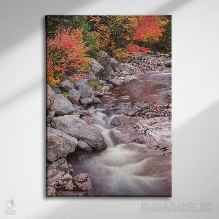 تابلو دکوراتیو Nova Scotia, Cabot Trail. Neils Harbour, Cape Breton High… اثر والتر بیبیکوف - نمای روبهرو روی دیوار