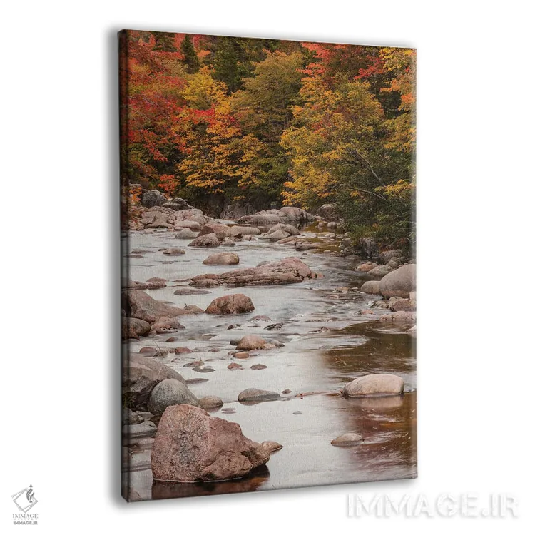 تابلو دکوراتیو Nova Scotia, Cabot Trail. Neils Harbour, Cape Breton High… اثر والتر بیبیکوف - نمای پرسپکتیو محصول