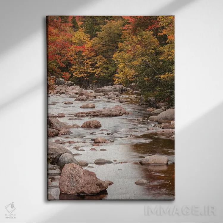 تابلو دکوراتیو Nova Scotia, Cabot Trail. Neils Harbour, Cape Breton High… اثر والتر بیبیکوف - نمای روبهرو روی دیوار