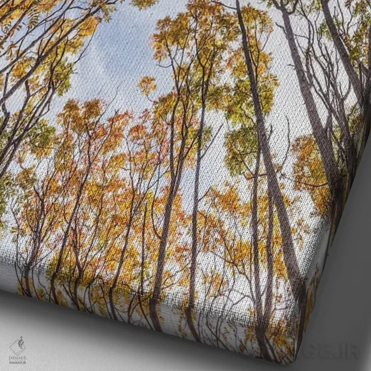 تابلو دکوراتیو Nova Scotia, Walton. Trees in autumn.,کانادا، نواسکوشیا… اثر والتر بیبیکوف - نمای نزدیک بافت بوم