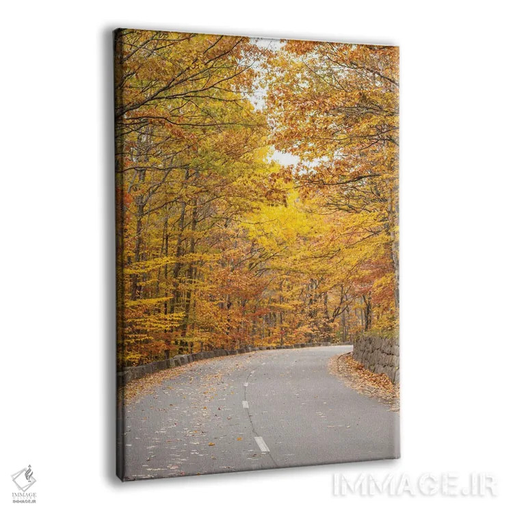 تابلو دکوراتیو Maine, Mt. Desert Island. Acadia National Park road.,آمری… اثر والتر بیبیکوف - نمای پرسپکتیو محصول