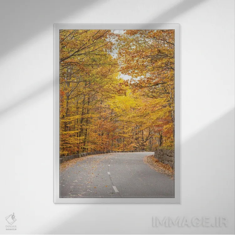 تابلو دکوراتیو Maine, Mt. Desert Island. Acadia National Park road.,آمری… اثر والتر بیبیکوف - نمای قابدار سفید