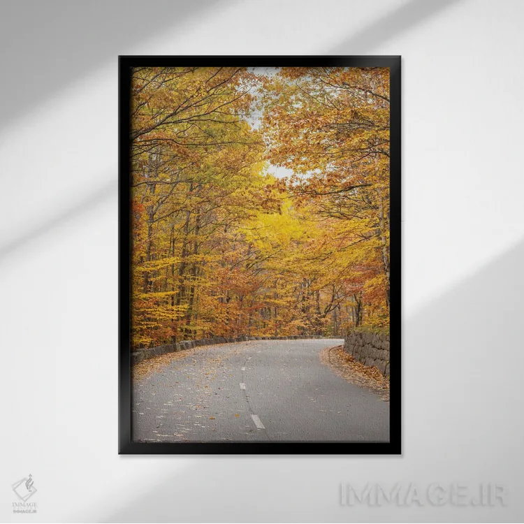 تابلو دکوراتیو Maine, Mt. Desert Island. Acadia National Park road.,آمری… اثر والتر بیبیکوف - نمای قابدار مشکی