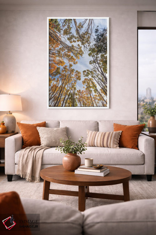 تابلو دکوراتیو Nova Scotia, Walton. Trees in autumn.,کانادا، نواسکوشیا… اثر والتر بیبیکوف - D1W