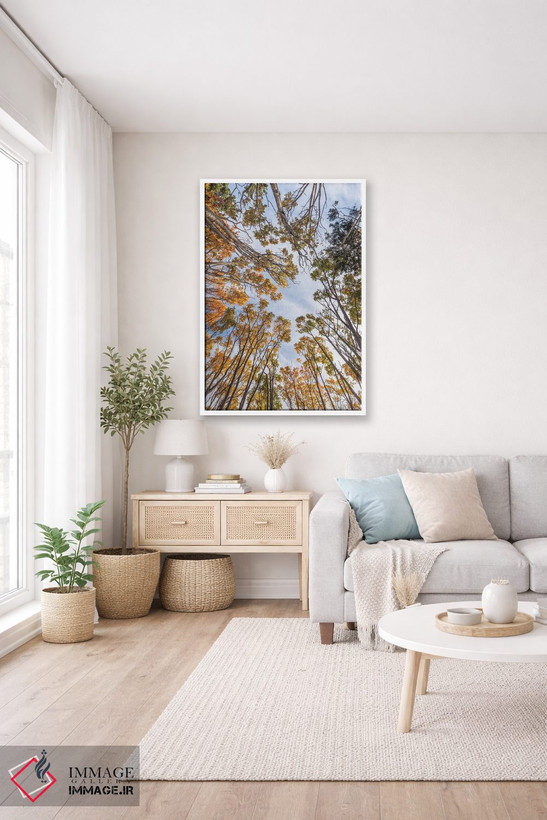 تابلو دکوراتیو Nova Scotia, Walton. Trees in autumn.,کانادا، نواسکوشیا… اثر والتر بیبیکوف - D3W