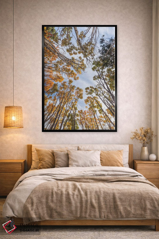 تابلو دکوراتیو Nova Scotia, Walton. Trees in autumn.,کانادا، نواسکوشیا… اثر والتر بیبیکوف - D2B