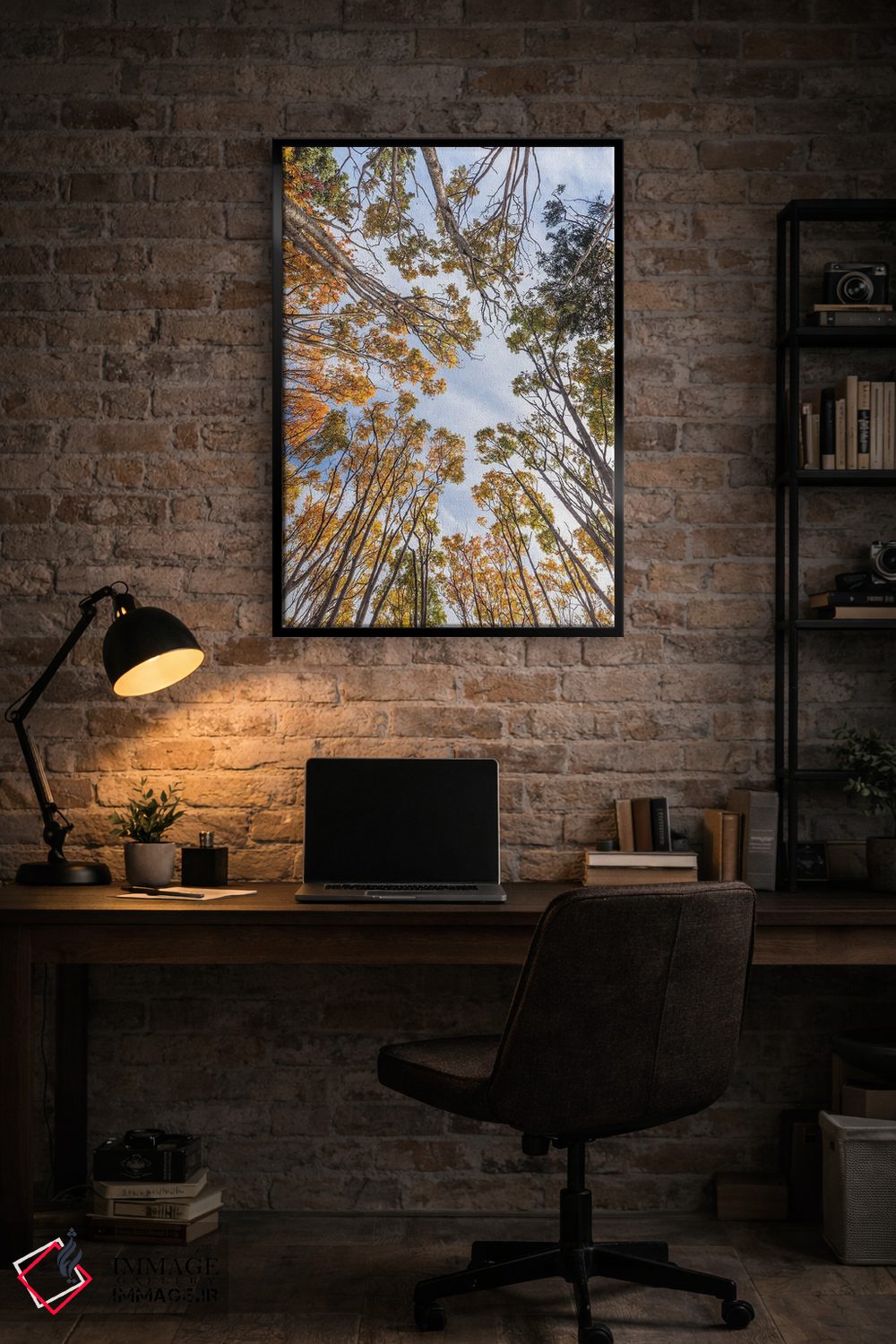 تابلو دکوراتیو Nova Scotia, Walton. Trees in autumn.,کانادا، نواسکوشیا… اثر والتر بیبیکوف - D5B