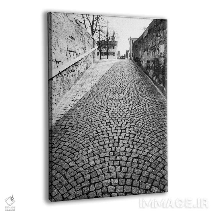 تابلو دکوراتیو Zurich, Switzerland,خیابان سنگفرش سیاه وسفید، زوریخ، سوئی… اثر والتر بیبیکوف - نمای پرسپکتیو محصول