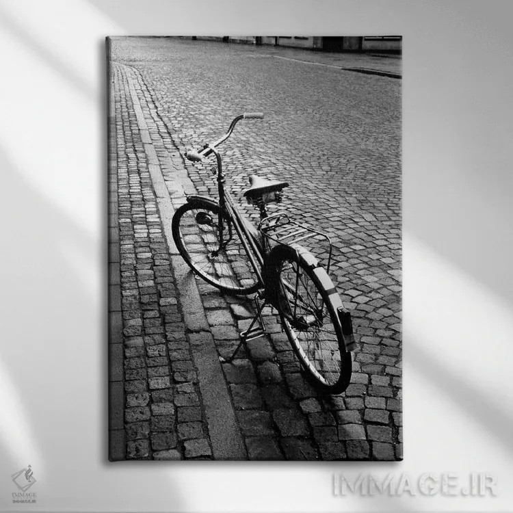 تابلو دکوراتیو دوچرخه قدیمی روی سنگفرش سیاه وسفید اثر والتر بیبیکوف - نمای روبهرو روی دیوار