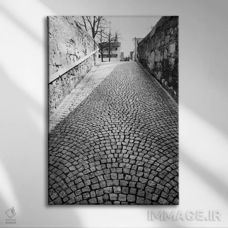 تابلو دکوراتیو Zurich, Switzerland,خیابان سنگفرش سیاه وسفید، زوریخ، سوئی… اثر والتر بیبیکوف - نمای روبهرو روی دیوار