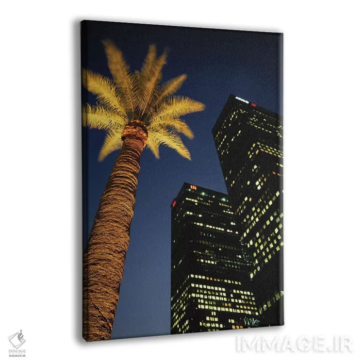 تابلو دکوراتیو Los Angeles, California, USA,نمای زاویه پایین از یک درخت… اثر والتر بیبیکوف - نمای پرسپکتیو محصول