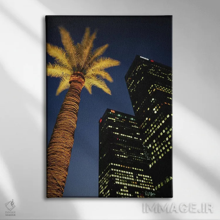 تابلو دکوراتیو Los Angeles, California, USA,نمای زاویه پایین از یک درخت… اثر والتر بیبیکوف - نمای روبهرو روی دیوار