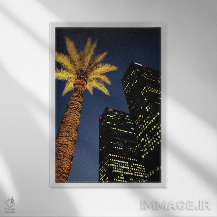 تابلو دکوراتیو Los Angeles, California, USA,نمای زاویه پایین از یک درخت… اثر والتر بیبیکوف - نمای قابدار سفید