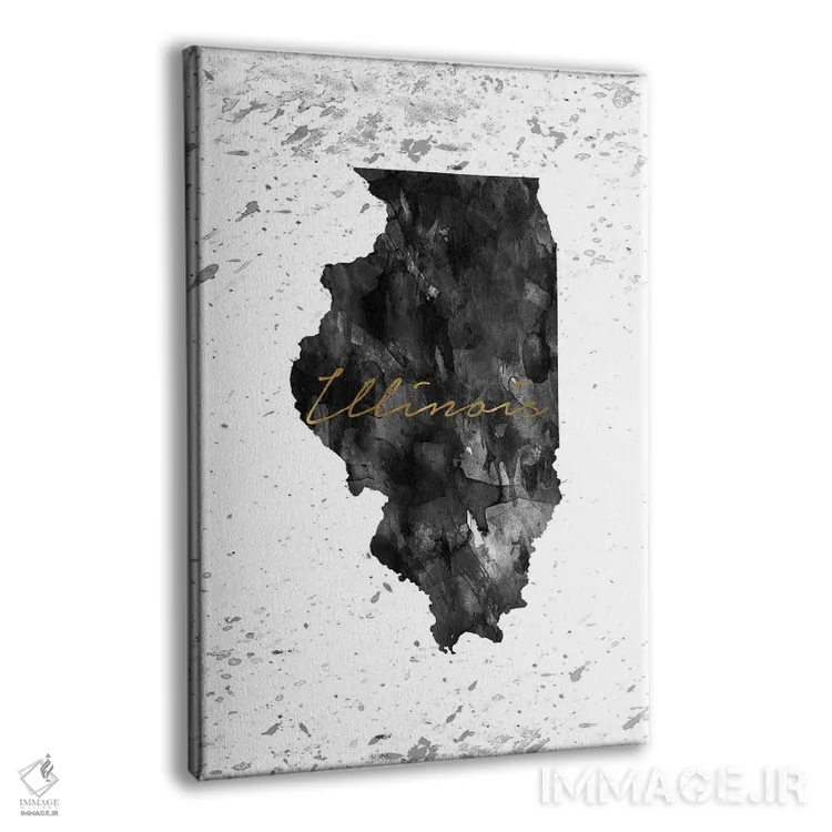 تابلو دکوراتیو ایلی نوی سیاه و سفید با رگه طلایی اثر وال دکور ادیکت - نمای پرسپکتیو محصول