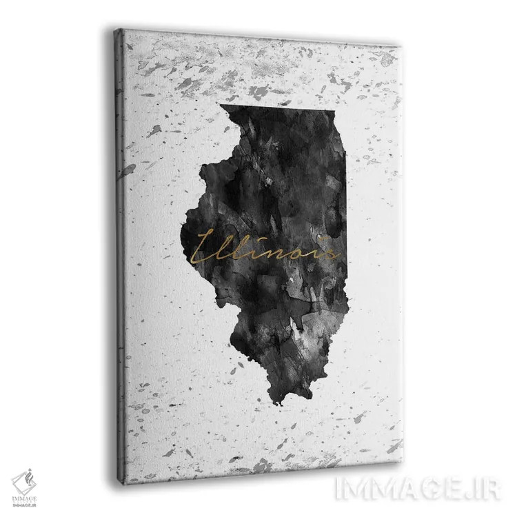 تابلو دکوراتیو ایلی نوی سیاه و سفید با رگه طلایی اثر وال دکور ادیکت - نمای پرسپکتیو محصول