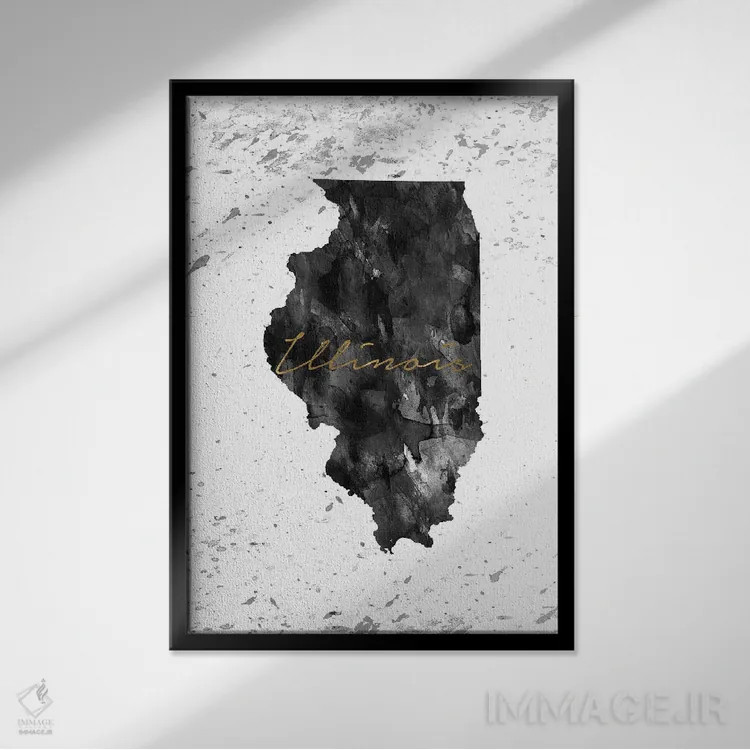 تابلو دکوراتیو ایلی نوی سیاه و سفید با رگه طلایی اثر وال دکور ادیکت - نمای قابدار مشکی