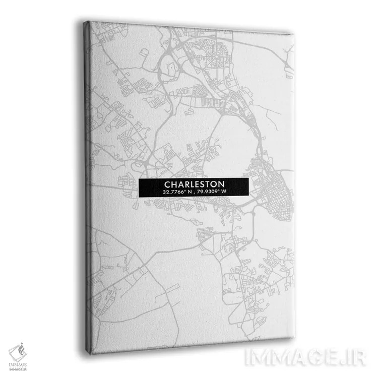 تابلو دکوراتیو South Carolina City Map Minimal Style,نقشه ساده چارلستون… اثر وال دکور ادیکت - نمای پرسپکتیو محصول