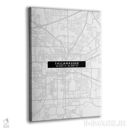 تابلو دکوراتیو Florida City Map Minimal Style,نقشه مینیمال شهر تالاهاسی… اثر وال دکور ادیکت - نمای پرسپکتیو محصول