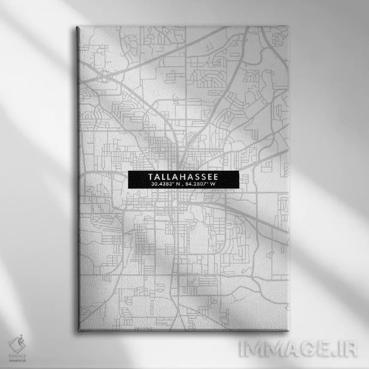 تابلو دکوراتیو Florida City Map Minimal Style,نقشه مینیمال شهر تالاهاسی… اثر وال دکور ادیکت - نمای روبهرو روی دیوار