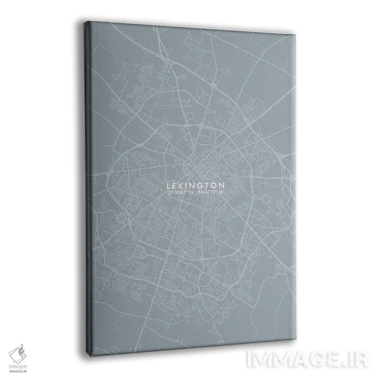 تابلو دکوراتیو Kentucky City Map Grey Blue Style,نقشه شهر لکسینگتون، کن… اثر وال دکور ادیکت - نمای پرسپکتیو محصول