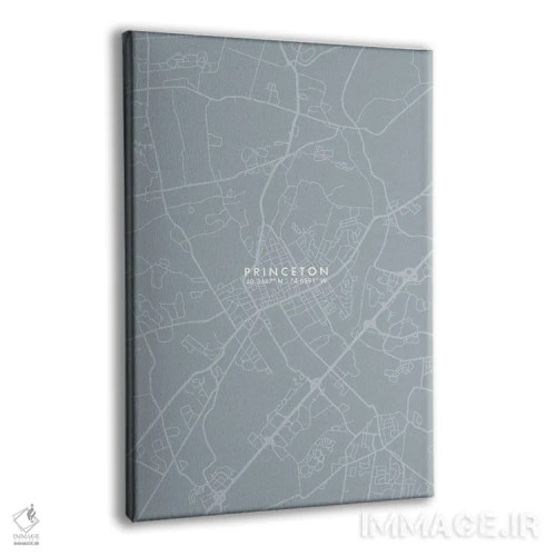 تابلو دکوراتیو New Jersey City Map Grey Blue Style,نقشه شهر پرینستون، ن… اثر وال دکور ادیکت - نمای پرسپکتیو محصول