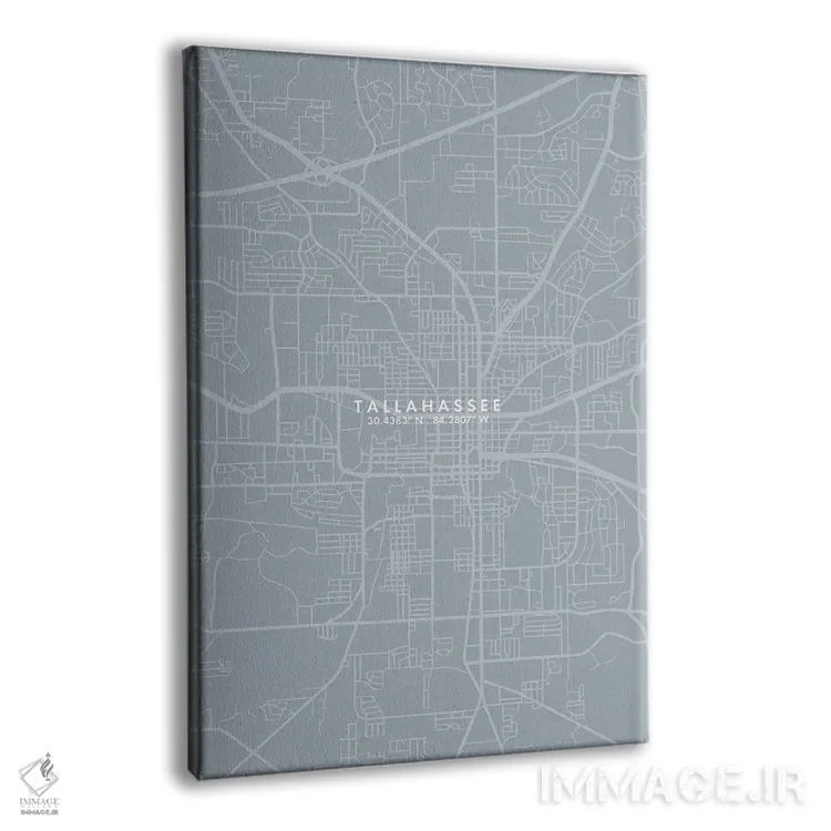 تابلو دکوراتیو Florida City Map Grey Blue Style,نقشه شهر تالاهاسی، فلور… اثر وال دکور ادیکت - نمای پرسپکتیو محصول