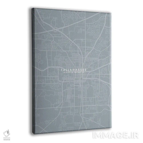 تابلو دکوراتیو Florida City Map Grey Blue Style,نقشه شهر تالاهاسی، فلور… اثر وال دکور ادیکت - نمای پرسپکتیو محصول
