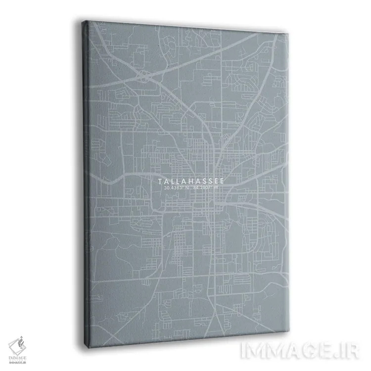 تابلو دکوراتیو Florida City Map Grey Blue Style,نقشه شهر تالاهاسی، فلور… اثر وال دکور ادیکت - نمای پرسپکتیو محصول