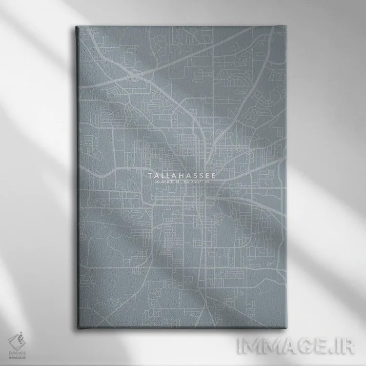 تابلو دکوراتیو Florida City Map Grey Blue Style,نقشه شهر تالاهاسی، فلور… اثر وال دکور ادیکت - نمای روبهرو روی دیوار