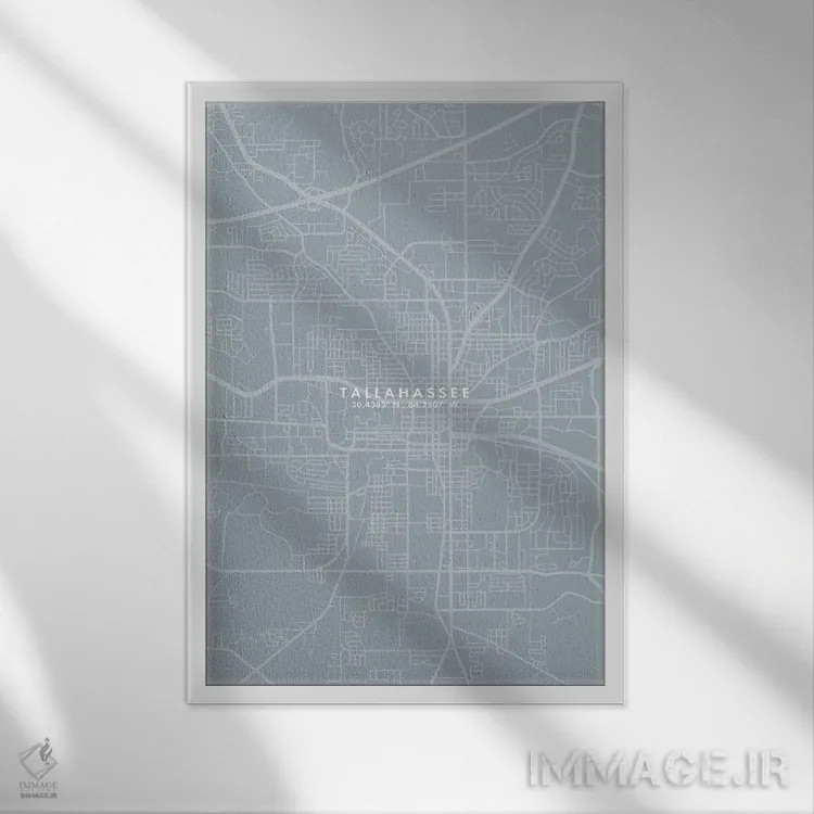 تابلو دکوراتیو Florida City Map Grey Blue Style,نقشه شهر تالاهاسی، فلور… اثر وال دکور ادیکت - نمای قابدار سفید
