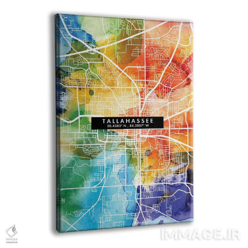 تابلو دکوراتیو Florida City Map Colorful Watercolor Style,نقشه شهر تالا… اثر وال دکور ادیکت - نمای پرسپکتیو محصول